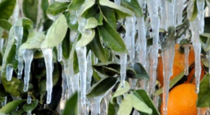 Bursalılar dikkat! Valilikten flaş uyarı!