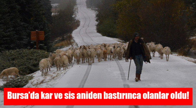 Bursa'da kar ve sis aniden bastırınca olanlar oldu!