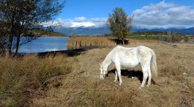 Bursa'da burayı gören hayran kalıyor!