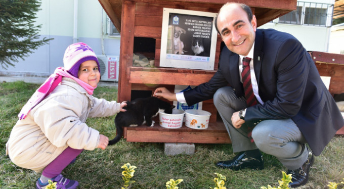 Sokak hayvanları Bursa'da güvende