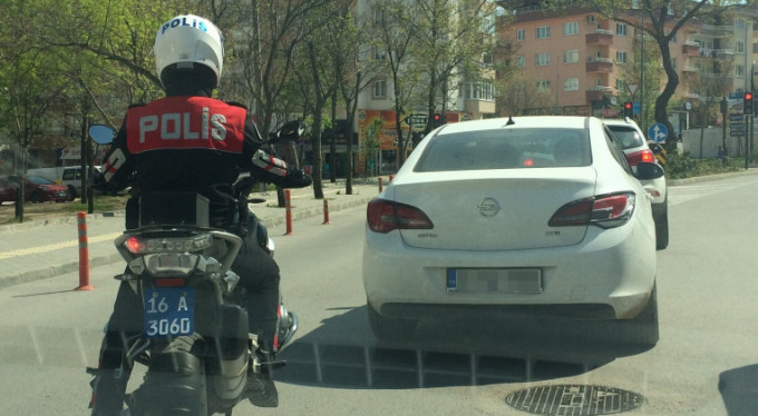 Bursa'da yunus timleri yakaladı...