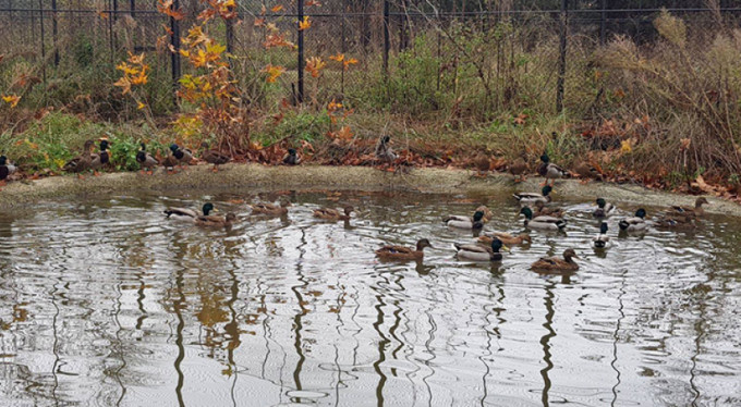 Bursa'da kaçak avcılığa geçit yok!