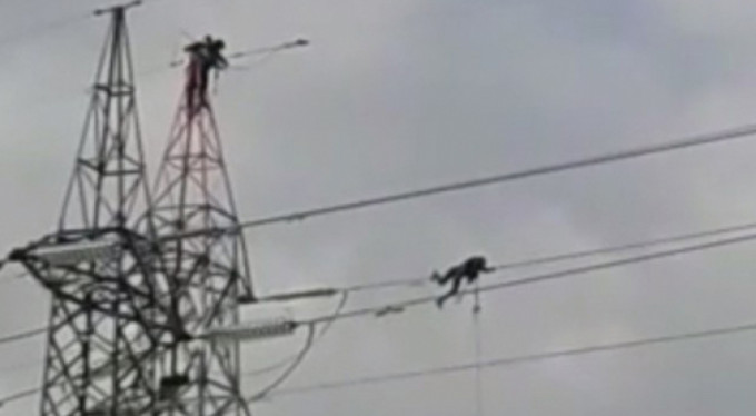 Canlarını hiçe sayıyorlar!