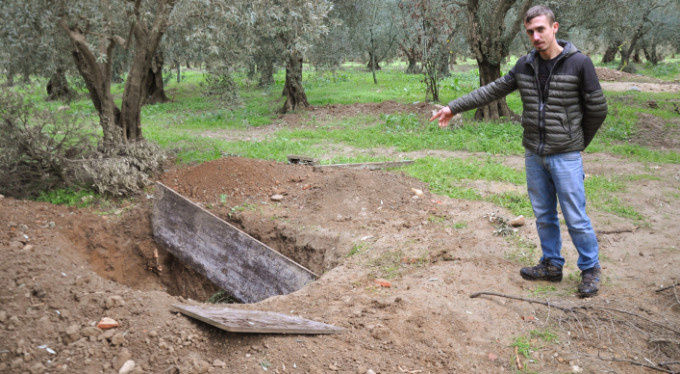 Zeytin tarlasında yaptıkları şey şoke etti!
