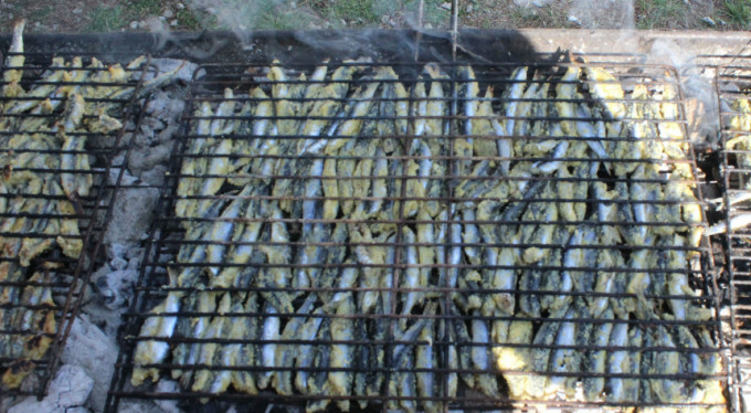 Bursa'da hamsi izdihamı! Bedavaya dağıtılınca...