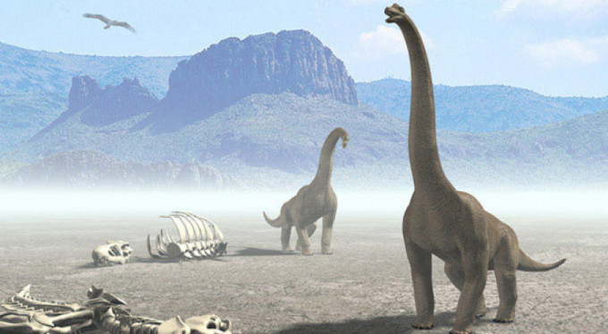 Dev dinozor fosili bulundu!