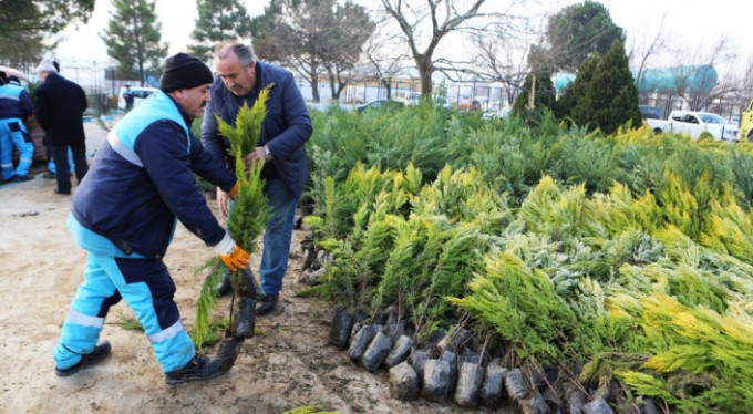 Nilüfer'e binlerce fidan dikecekler