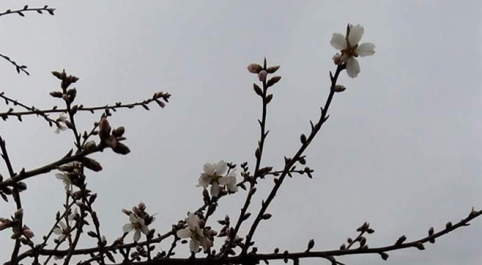 Bursa'da şubat ayında şoke eden görüntü!