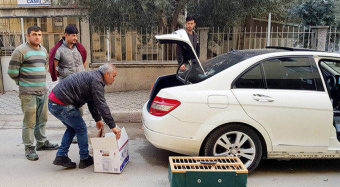 Lüks otomobilde ölüme terk edildiler!