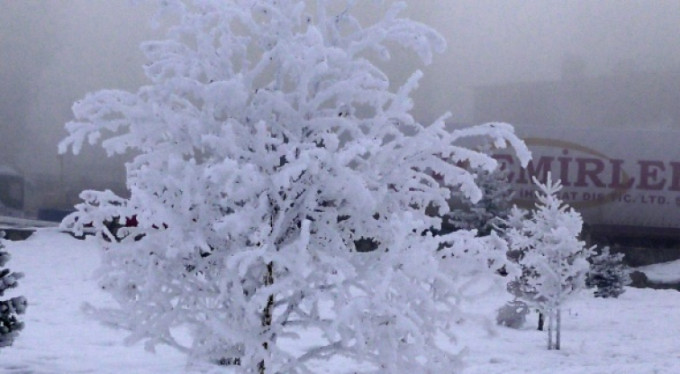 Doğu Anadolu buz tuttu!