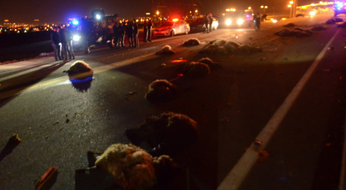 Sürüsüne çarpan minibüsü ateşe verdi!