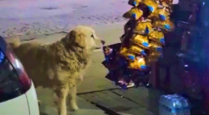 Küçük cips hırsızı