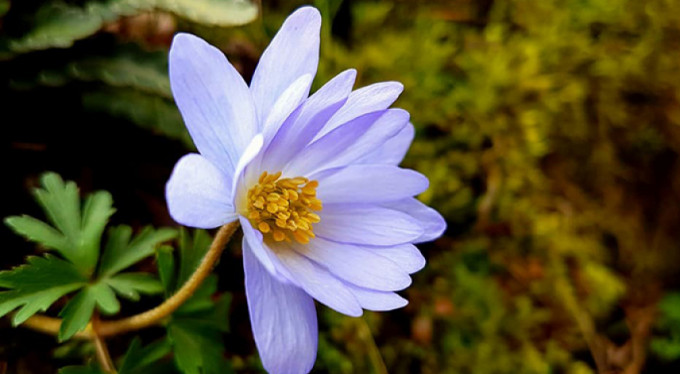 Bursa'da üçüncü cemre toprağa düştü!