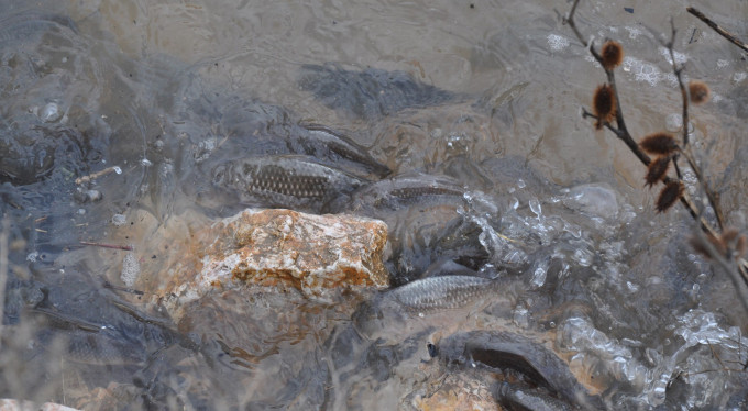 Bursa'da korkutan manzara!