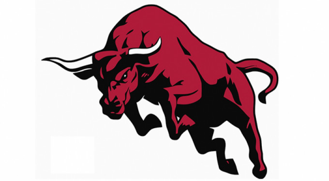 Öfkeli boğa insanlara saldırdı: 2 yaralı