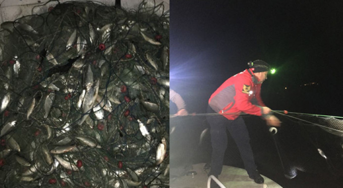 Bursa'da kaçak av alarmı!