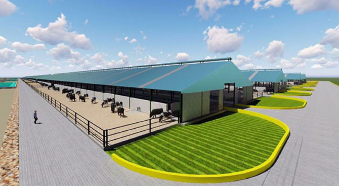 Çiftlik Bank'tan sonra şimdi de Süt Bank!