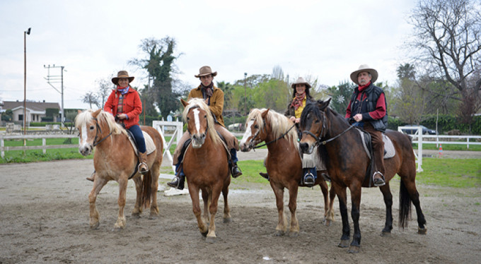 Bursa'da ABD'li kovboyların Türk atlarıyla imtihanı