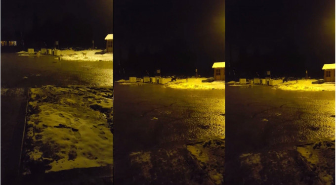 Kış uykusundan uyandığına pişman oldu