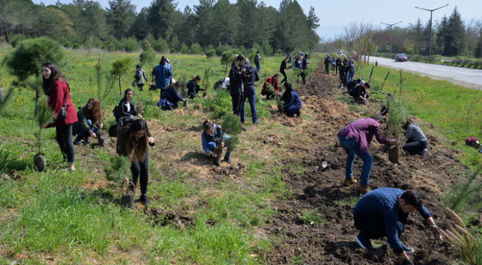 Üniversitelilerden şehitler için fidan