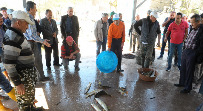 Bursa'da açık arttırmayla balık satıyorlar!