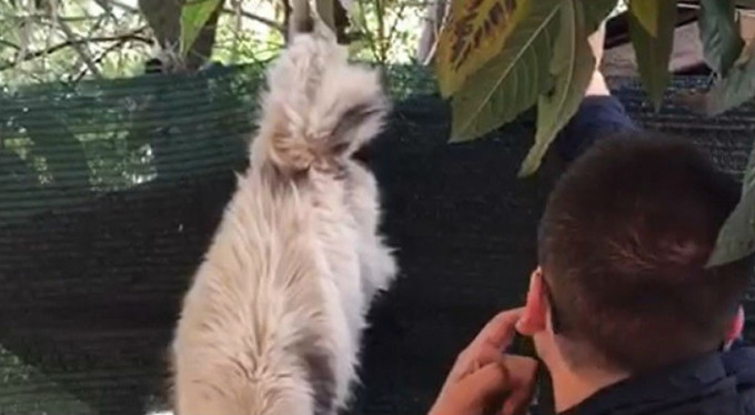 'Pamuk' ipliğinde hayat! Bursa'da onun için seferberlik