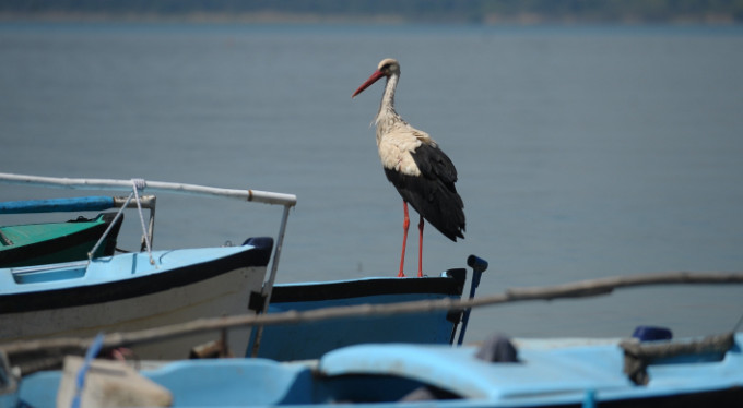 Bursa'da bu yıl beklenen olmadı!