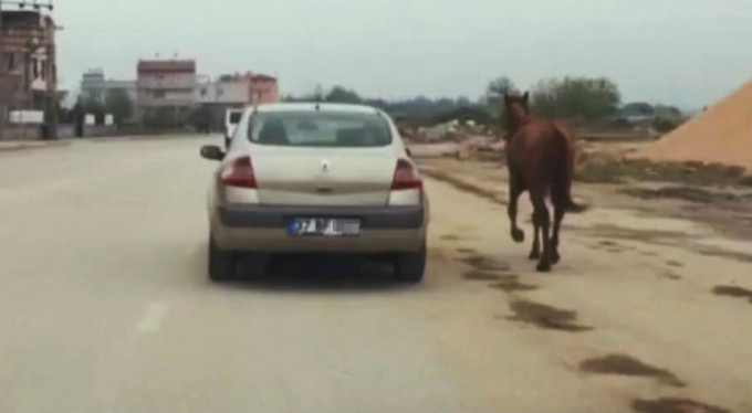 Bursa'da ilginç anlar!