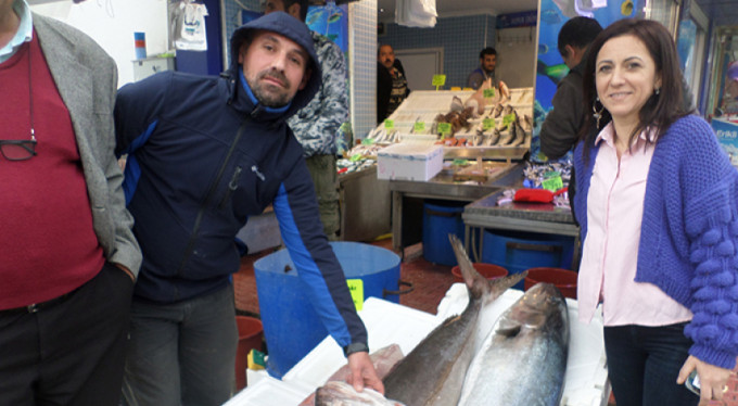 Balıkçıları şaşırttı! Mudanya'da yakalandı...