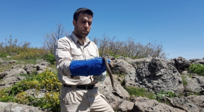 Türkiye'de bulundu! Korkutan görüntü