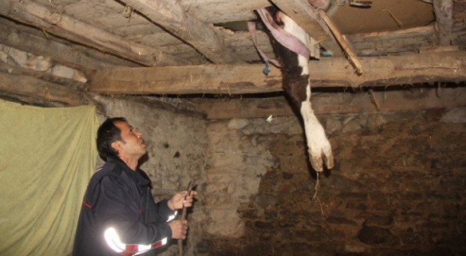 Akıl almaz olay! Görenler hayrete düştü