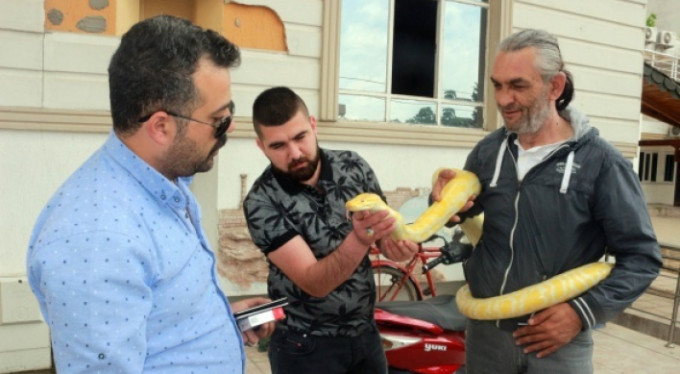 4 metrelik pitonu çocuğu gibi seviyor!