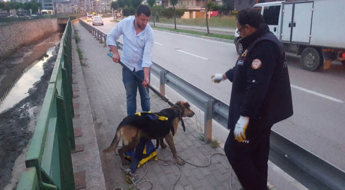 Su kanalında mahsur kalan köpek kurtarıldı