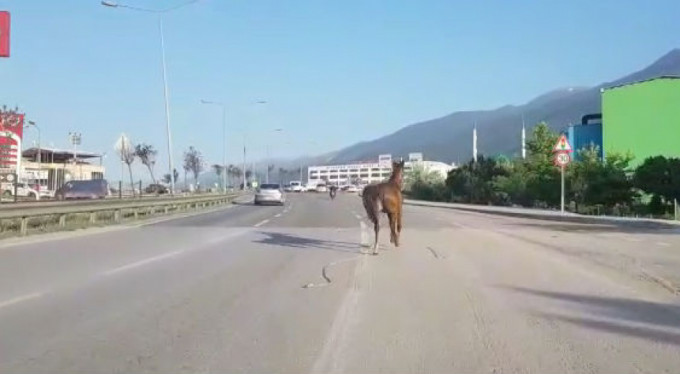 Bursa trafiğinde tehlikeli anlar!
