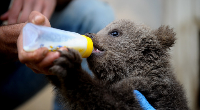Bursa'da renkli görüntüler!