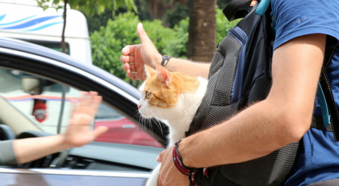 Otostopla ülkeyi geziyor! Bursalı öğrenci...