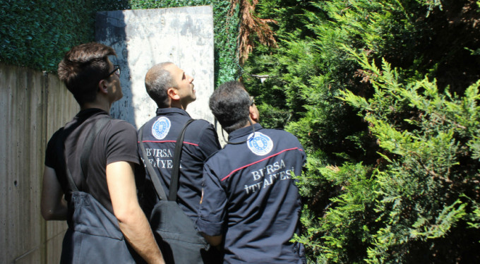 Yavru kediyi ölümden muhabirin ihbarı kurtardı