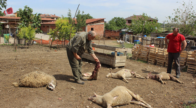 Bursa'da korkunç görüntü!