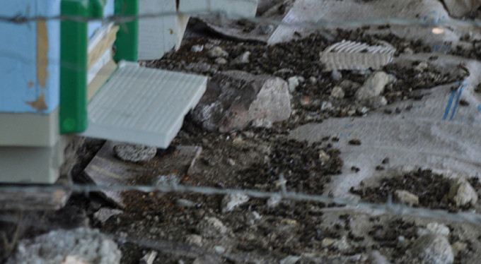 Bursa'da korkunç görüntü!