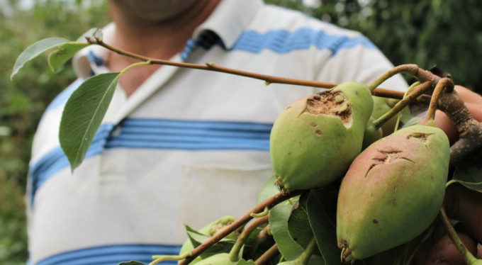 Bursa'da zarar çok büyük!