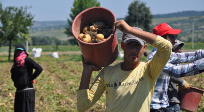 Bursalılara patates müjdesi!