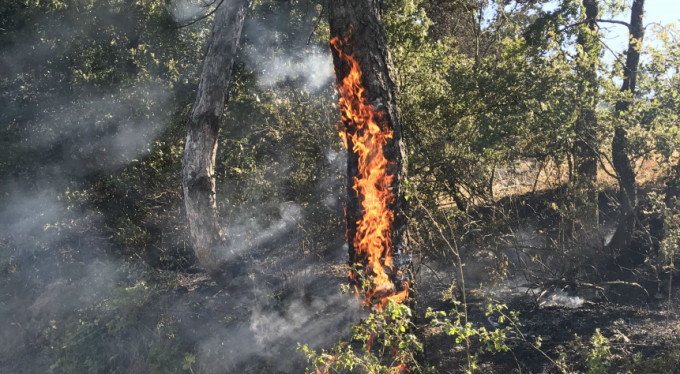 Bursa'da korkutan yangın!