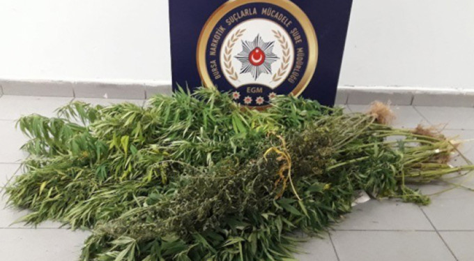 Uyuşturucuyu sakladıkları yer şoke etti!