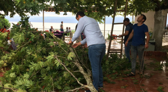 Bursa'da fırtına ağaçları devirdi!