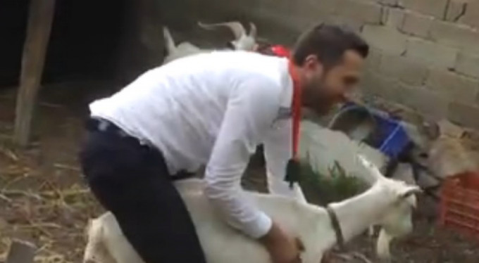 Bursa'da damada işkence!