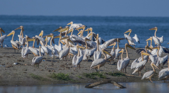 Bursa'da göç başladı!