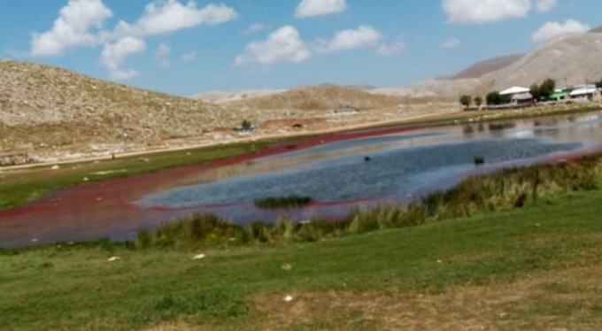 Kırmızıya dönen göl şaşırttı!