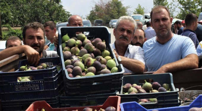 İzin çıktı, kilosu 7 lira!