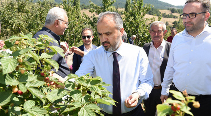 Dağ yöresinde hasat zamanı
