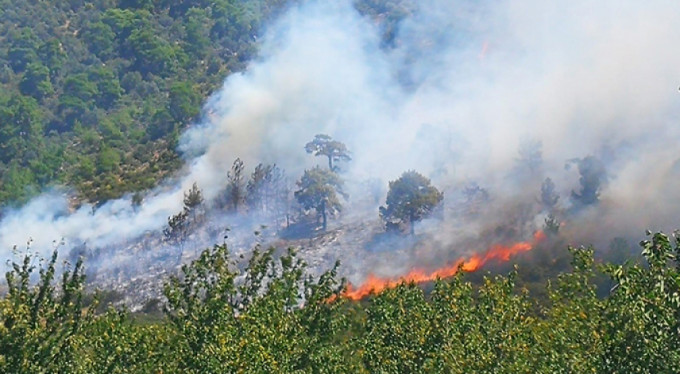 Arı kovanlarının bulunduğu bölgede yangın